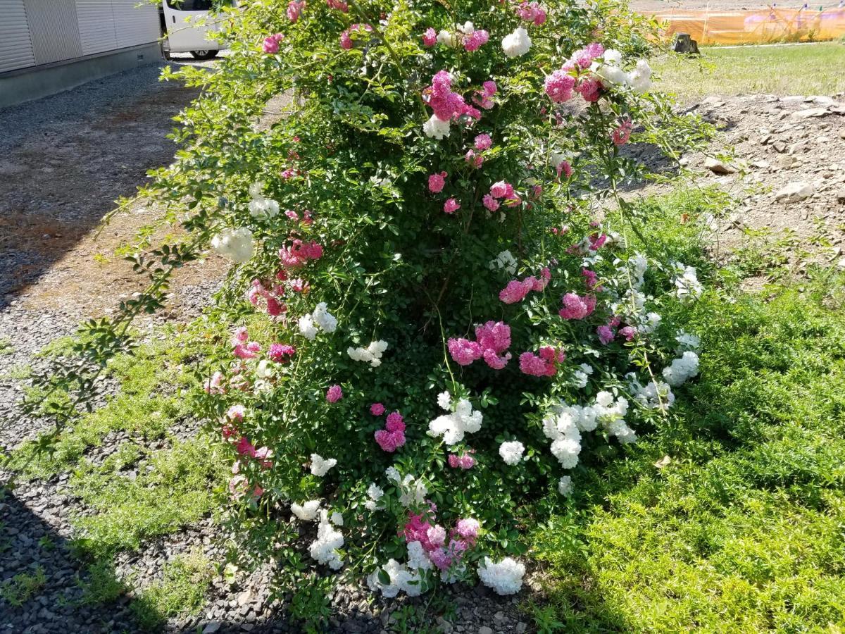 コテージ　森の仲間たち